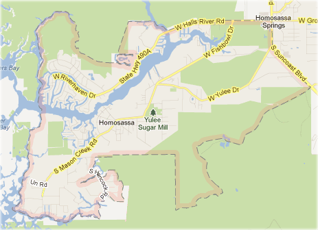 Homosassa-Termite-Control