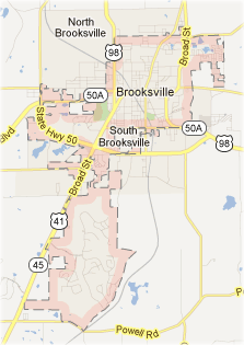 brooksville-termite-control